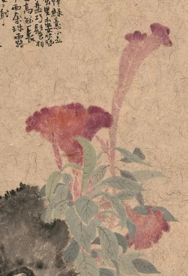 中国艺术研究院-王德芳《鸡冠花》