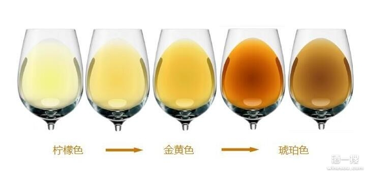 饮用者能从葡萄酒颜色中获取哪些信息