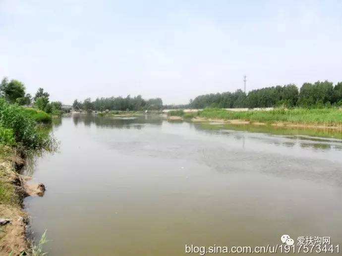 扶沟:初夏的贾鲁河畔