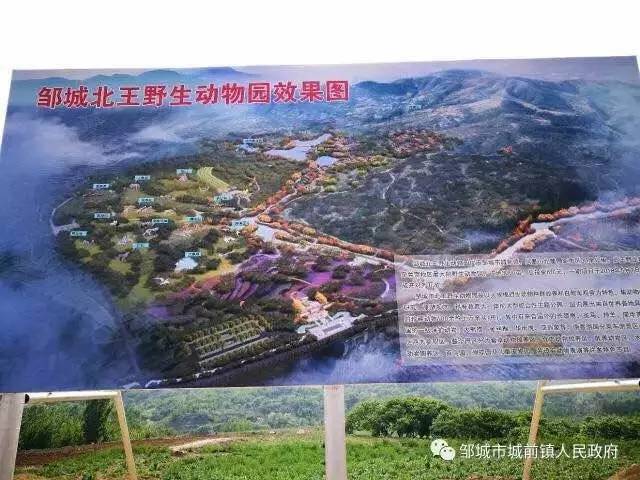 山东邹城市多少人口_山东邹城市乐绘马然