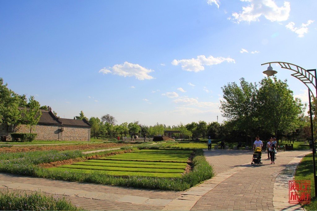 北坞公园——藏在都市的田园风景