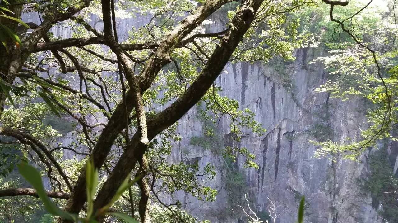 (拍摄于圈子垭天坑)洞穴专家探讨镇巴天坑奇观,赞叹太美了!