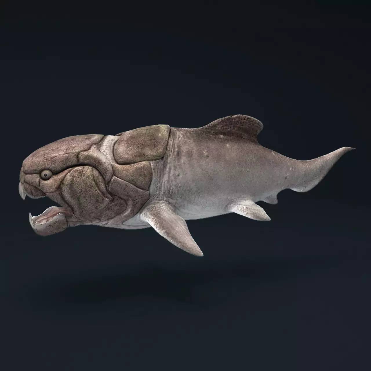 方舟自创生物：血刃巨齿鲨 - 哔哩哔哩
