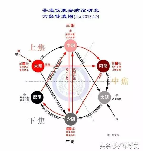 动态看六经的传变:少阳可以传到太阴,少阳不仅是阳经之枢,也是阴阳的