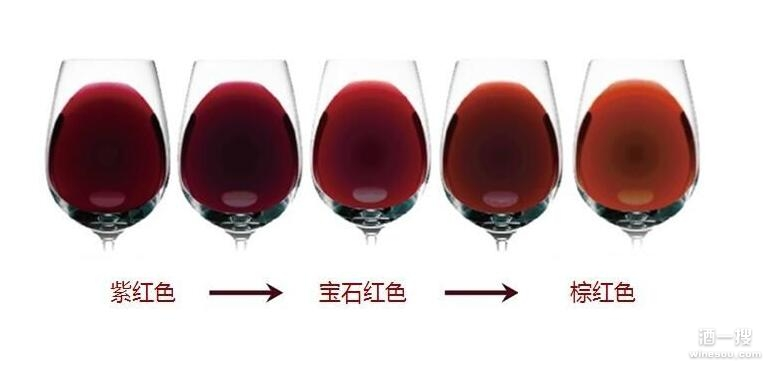 饮用者能从葡萄酒颜色中获取哪些信息