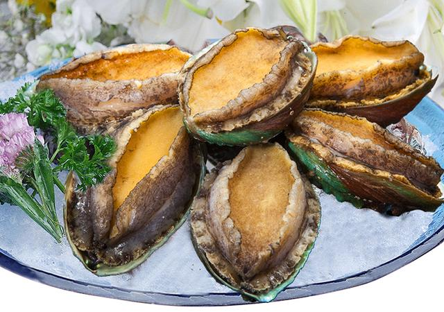 中文名:鲍鱼 英文名:abalone 别名:镜面鱼,九孔螺,明目鱼 家庭地址