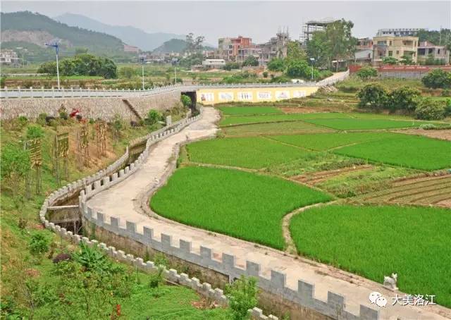 村容村貌整洁有序,房前屋后树绿花艳,马甲镇永安村如此大变化,村民