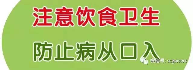 【安全专栏】注意饮食卫生,防止病从口入