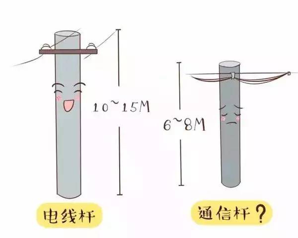 【特辑】作为一根电线杆,这些锅宝宝不背!