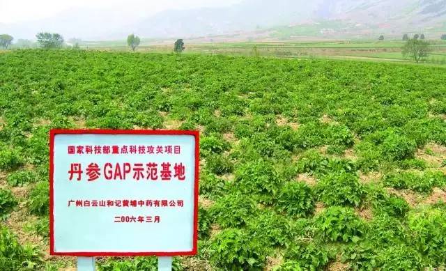 5万亩中药材种植基地(gap)及饮片加工(gmp)建设项目可行性研究报告