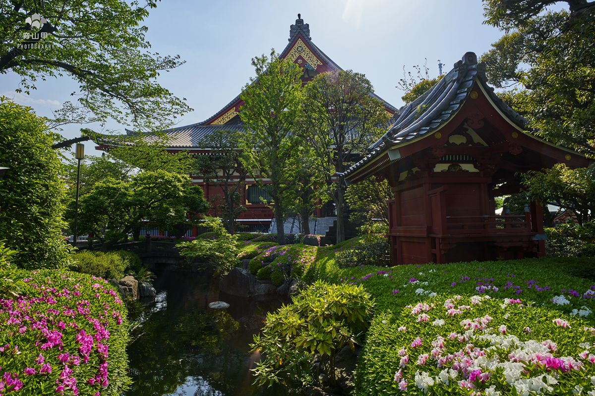 浅草寺日本东京都历史最悠久的寺庙