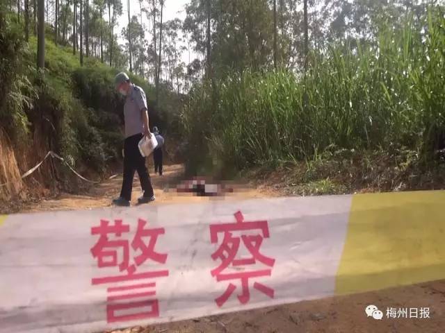 丰良镇人口_丰顺县丰良镇吴高辉