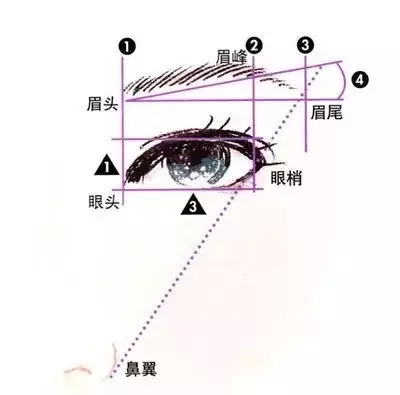 设计师从整体形象为眉毛做定位设计 不但遵循面部三庭五眼的平面比例