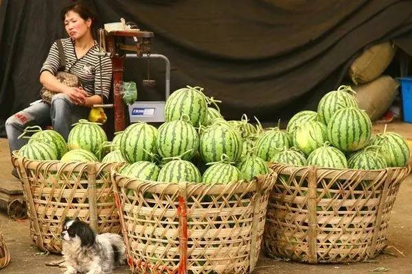 嗲得来伐得了！老底子上海人竟是这样过夏天！