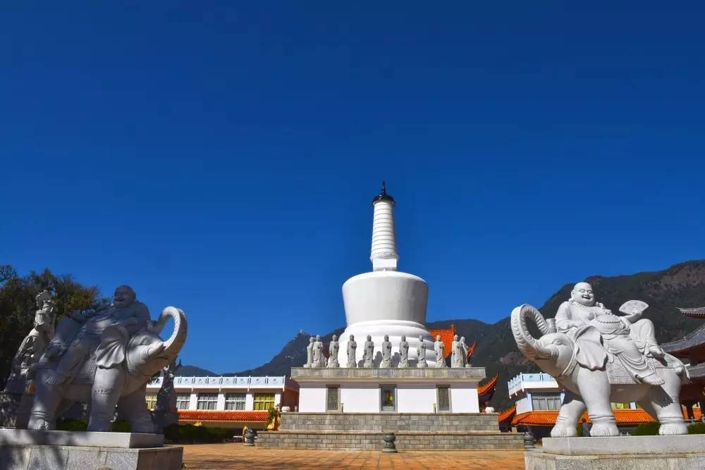 人生百年梦,鸡足天下灵 | 鸡足山发福利啦