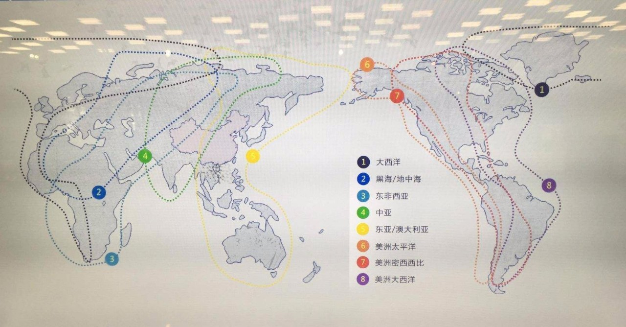 根据鸟类迁徙的路线,人们也总结出了全球最为集中的八条线路,喜欢