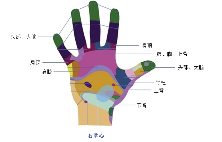 上背:手背(肩膀反射区)下方;掌心拇指外缘中部.