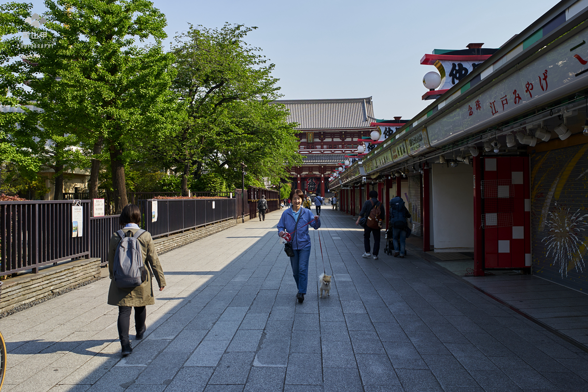 浅草寺日本东京都历史最悠久的寺庙