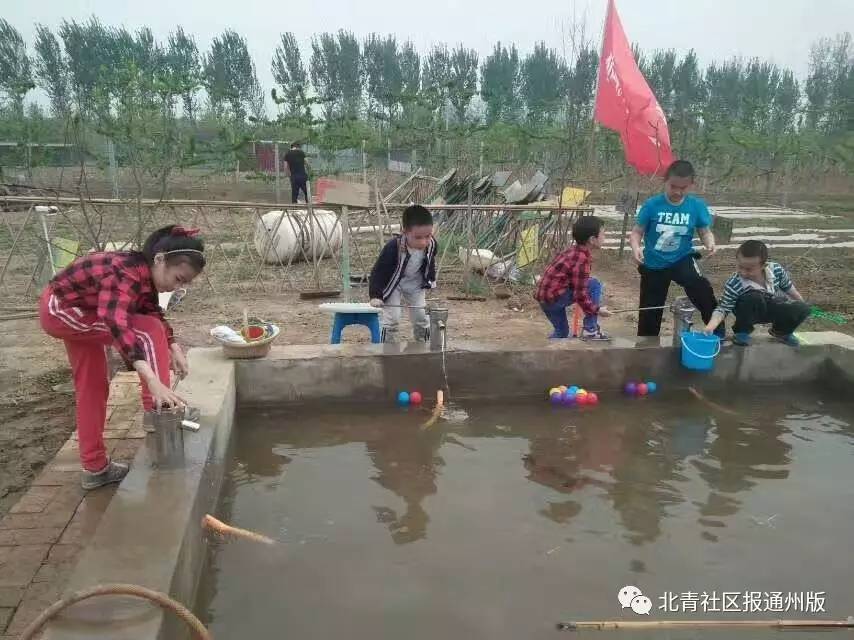 老黄牛耕读园开心农场 地址:通州区供杜路运河森林公园旁供给店村