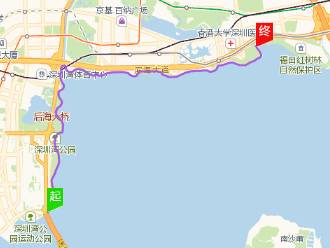 没走过深圳这6条徒步路线算来过深圳?沿途风景美爆了!