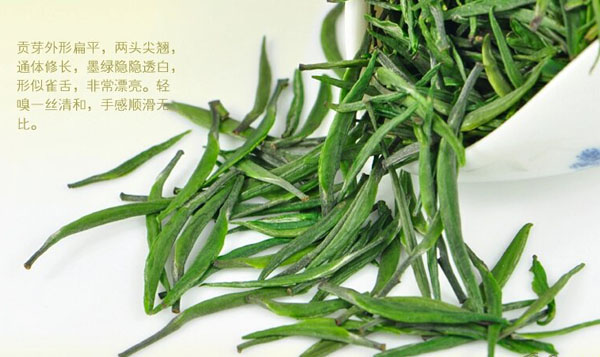 恩施玉露茶形似松针挺直色绿香鲜味爽毫白如玉露