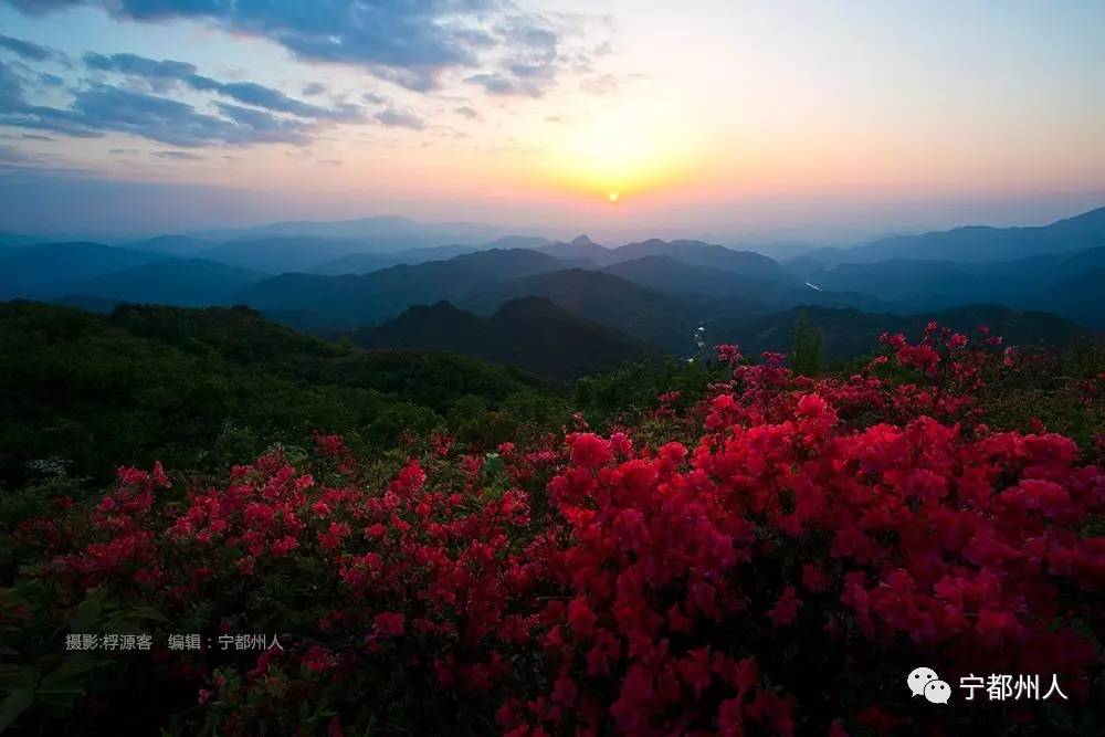 大龙山自然保护区,位于宁都县境北部肖田乡和东韶乡,宁都,宜黄,乐安三