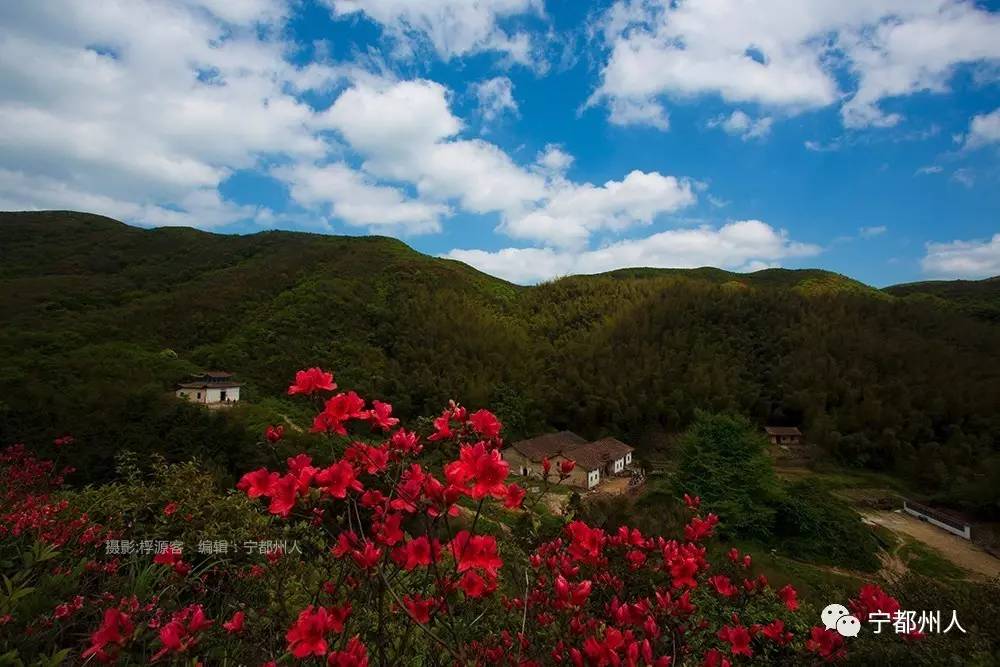 大龙山自然保护区,位于宁都县境北部肖田乡和东韶乡,宁都,宜黄,乐安三