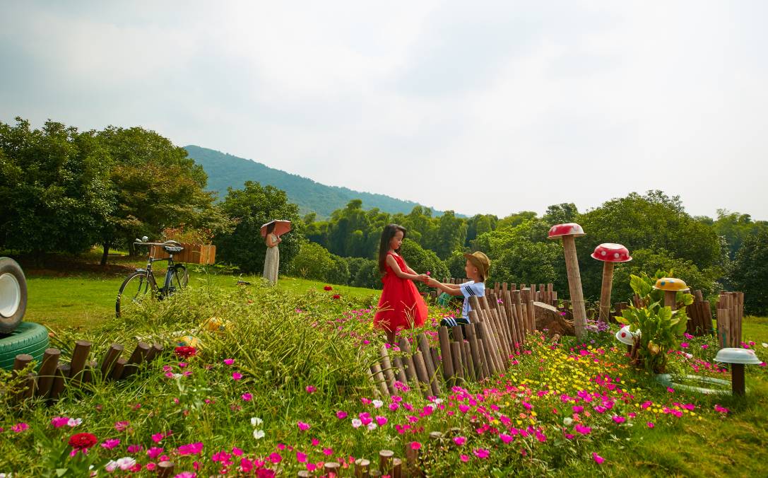 长兴美宿体验月 | 送你开元芳草地竹林房,快带妈妈来这里"采菊东篱下"