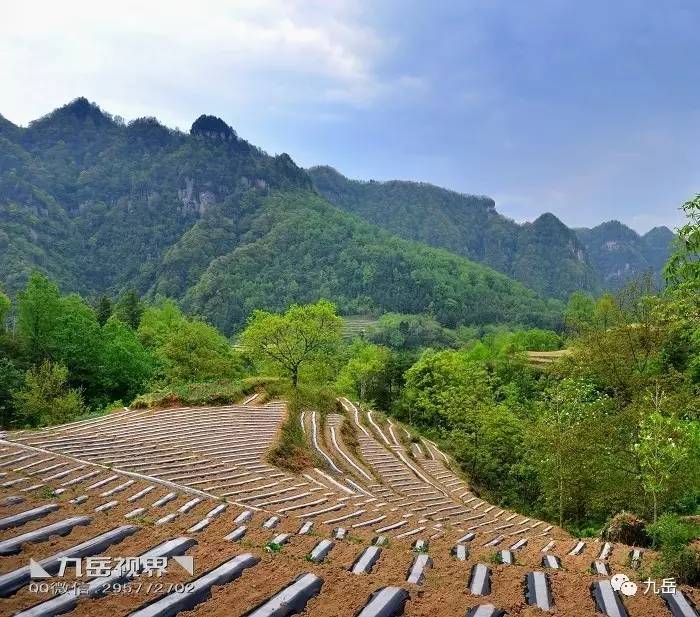 ◣九岳视界 宁强山乡有奇景—游草川子,壁挂公路,龙潭子