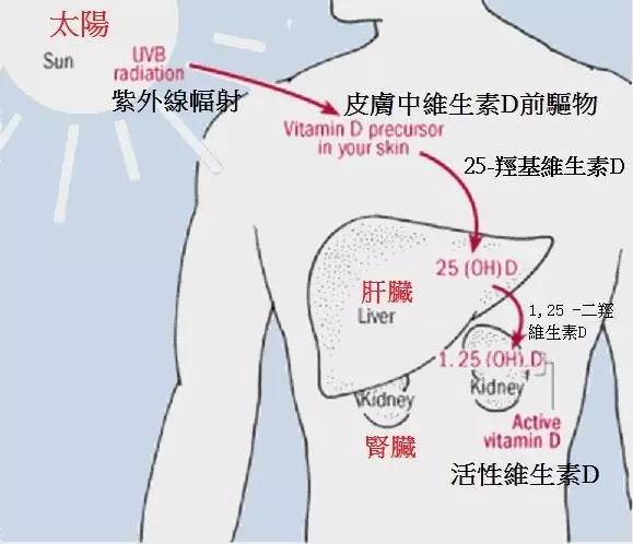 青海湖晒伤怎么办