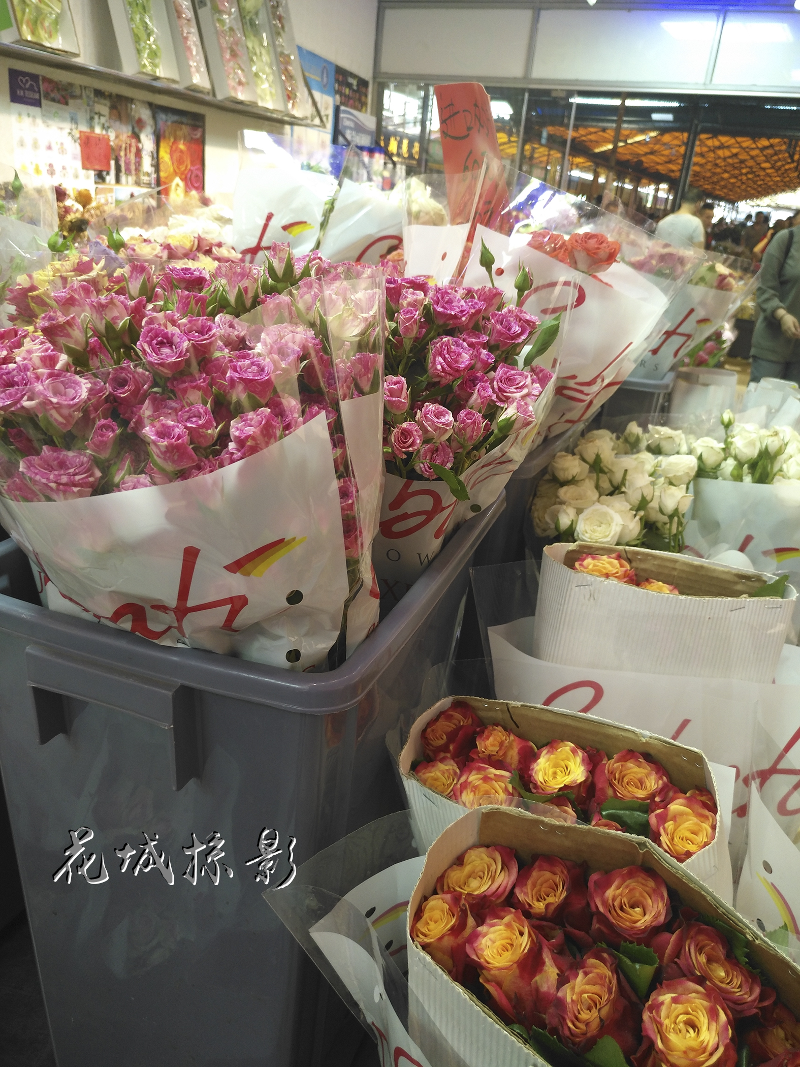 让人收获美丽的地方广州岭南花卉市场