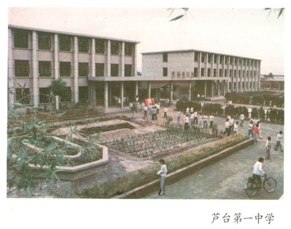 记忆丨宁河芦台镇80 90年代