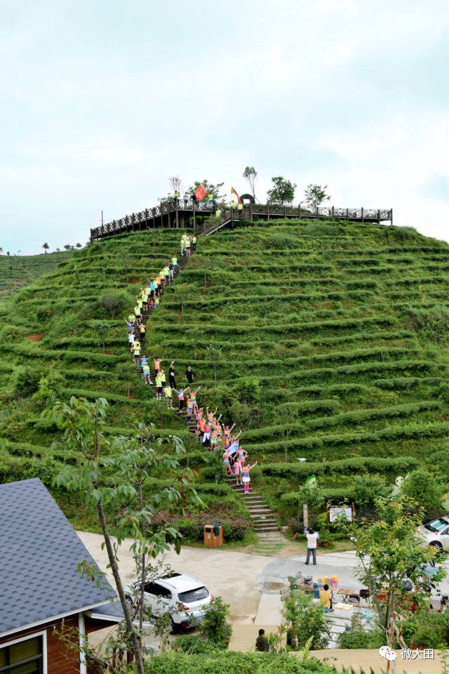 福建·大田·大仙峰·茶美人景区迎来了这样一群人!