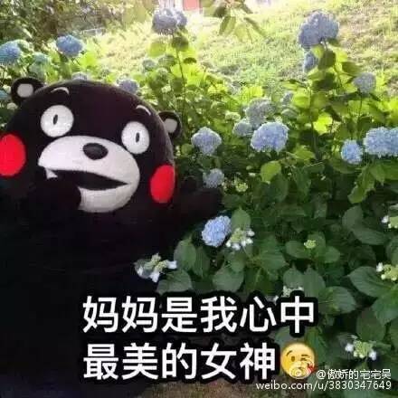 我可想撩您了~~ (附赠表情包一组~2333~~)