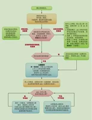 2015年版小儿心肺复苏