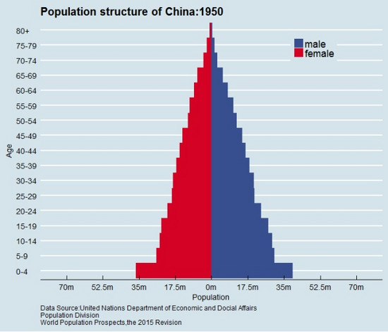 人口结构金字塔_日本老年人就业和妇女就业并不是浪漫曲,中国怎么办(2)