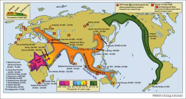 16世纪各大洲人口_人口普查(2)