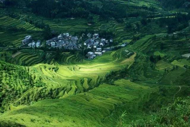 人口最多的少数民族_湖南省人口最多的村