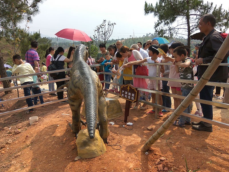 南雄旅游又添新去处:恐龙,水上乐园,温泉spa,cs野战.