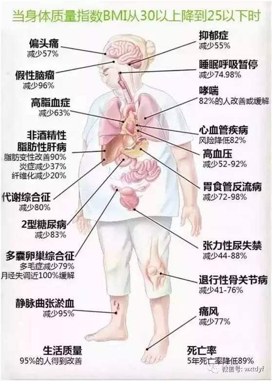 肥胖病的中医按摩辅助疗法