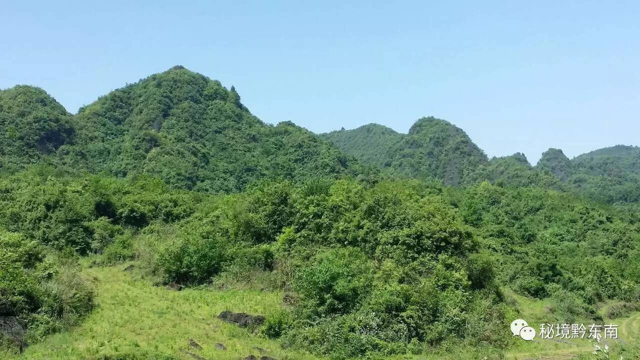 聚焦朱家山一座神秘的山黄平投巨资打造的舞阳湖国家级森林公园即将