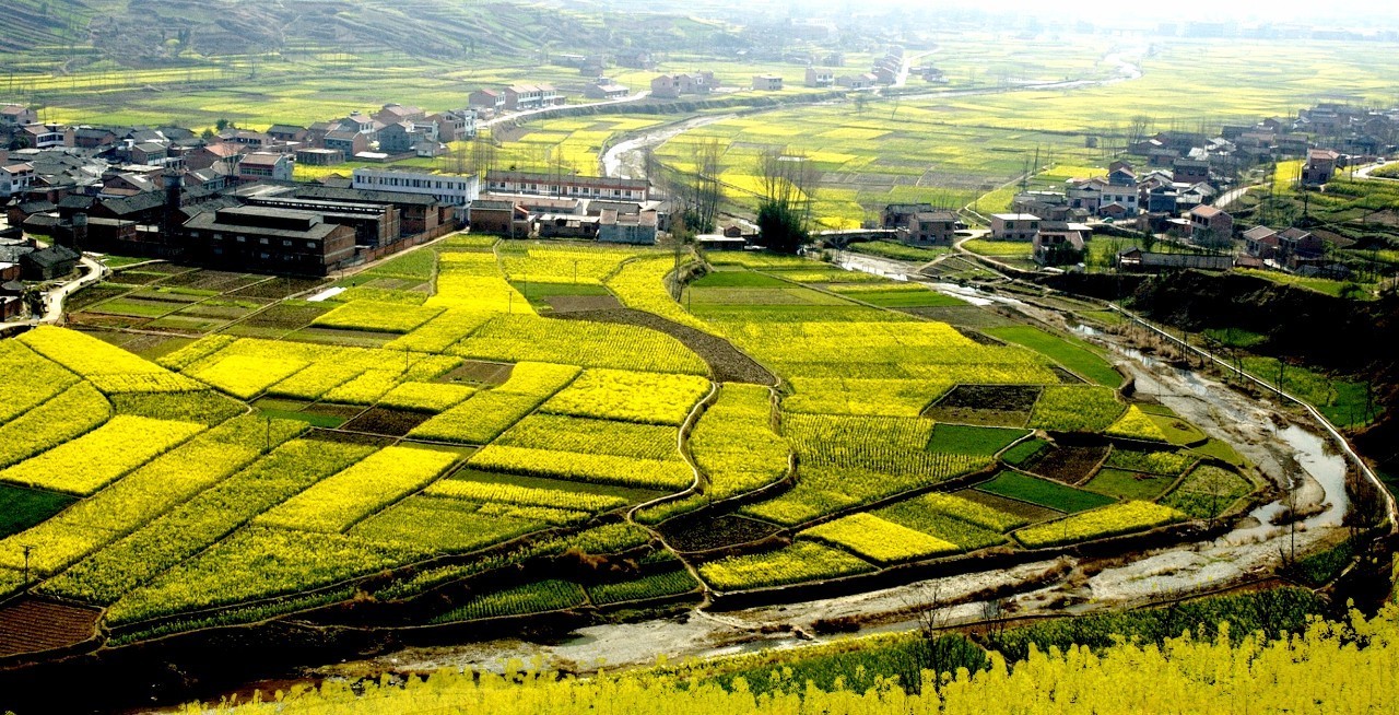 春暖花开又一村—广西农村集体经济图景