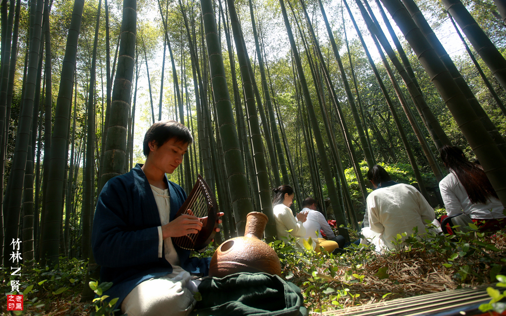 竹林n贤丨想念江南兰苑那席茶