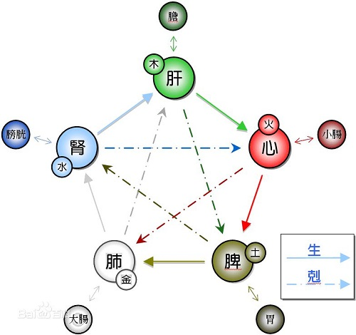 气虚是什么意思