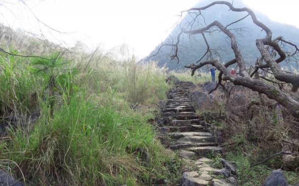 近日,阳山这条千年古道吸引了许多人前来徒步,还有人堪称来"寻宝"