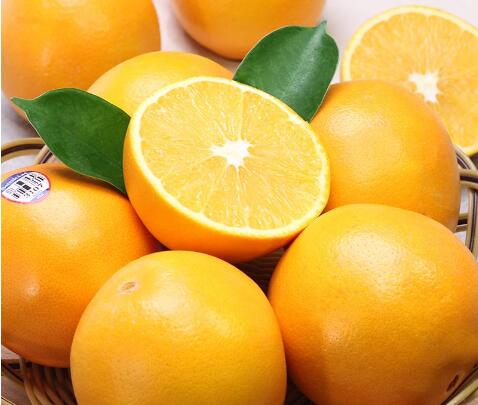 橙子的品种有哪几种