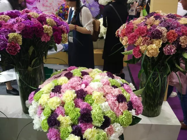 第十九届上海中国国际花卉园艺展览会一瞥