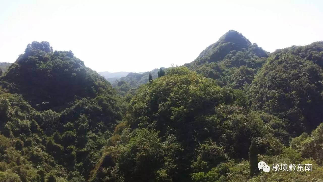 聚焦朱家山一座神秘的山黄平投巨资打造的舞阳湖国家级森林公园即将