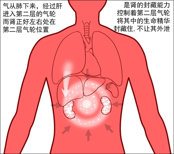 中老年人口臭口苦是什么原因_口臭是什么原因引起的(3)