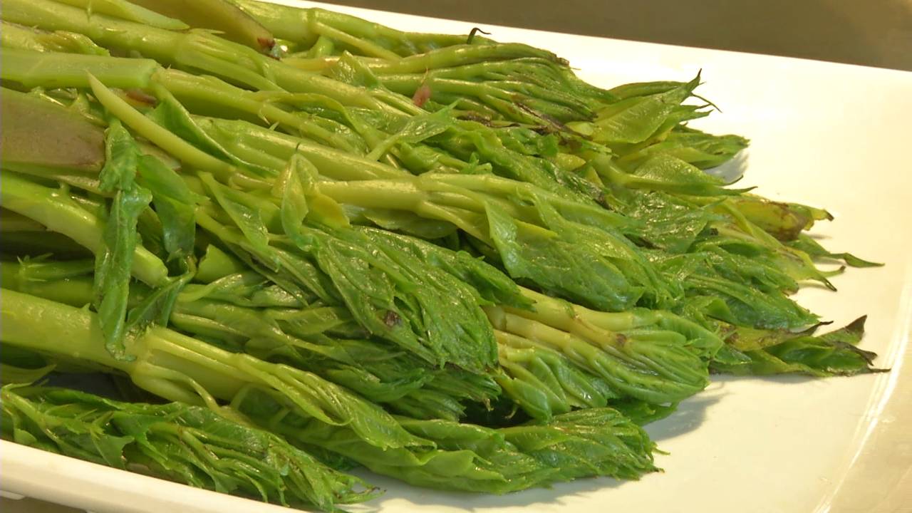 身为云南人,这100多种野菜你见过几种?